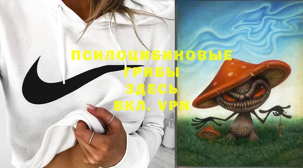 PSILOCYBIN Белоозёрский